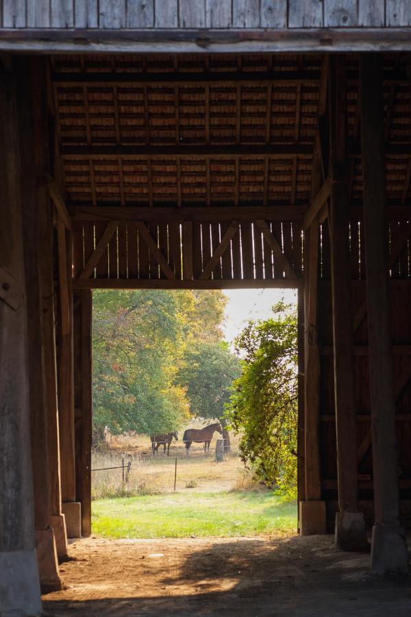 Chambre D'Hotes Fantesstique Berzieux ภายนอก รูปภาพ